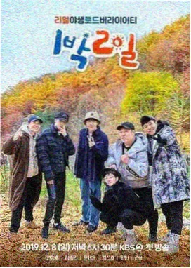 免费看大片 向往的生活